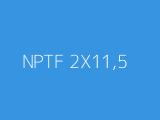 NPTF 2X11,5 